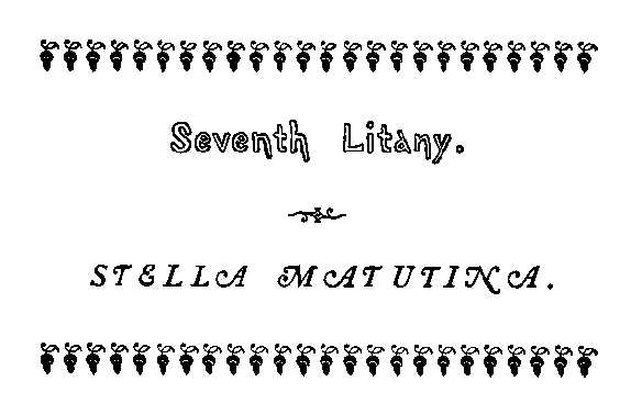 stella matutina