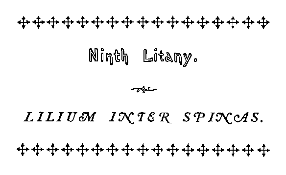 lilium inter spinas
