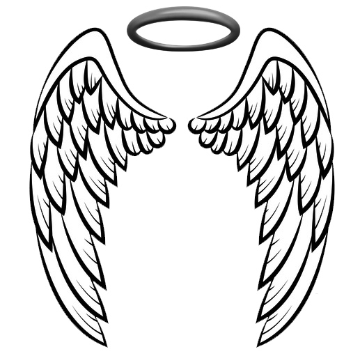 Angel wings