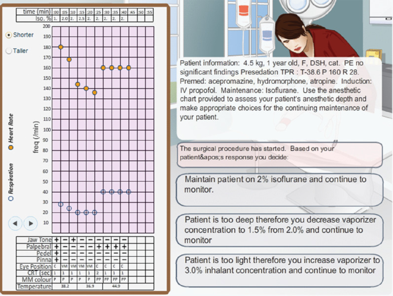 Screen shot shows a nurse monitoring an anesthetic patient using anesthetic chart and patient information.