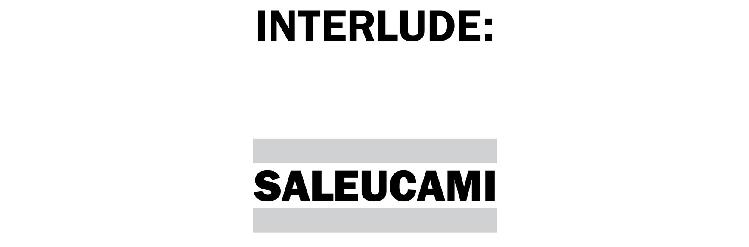 Interlude: Saleucami