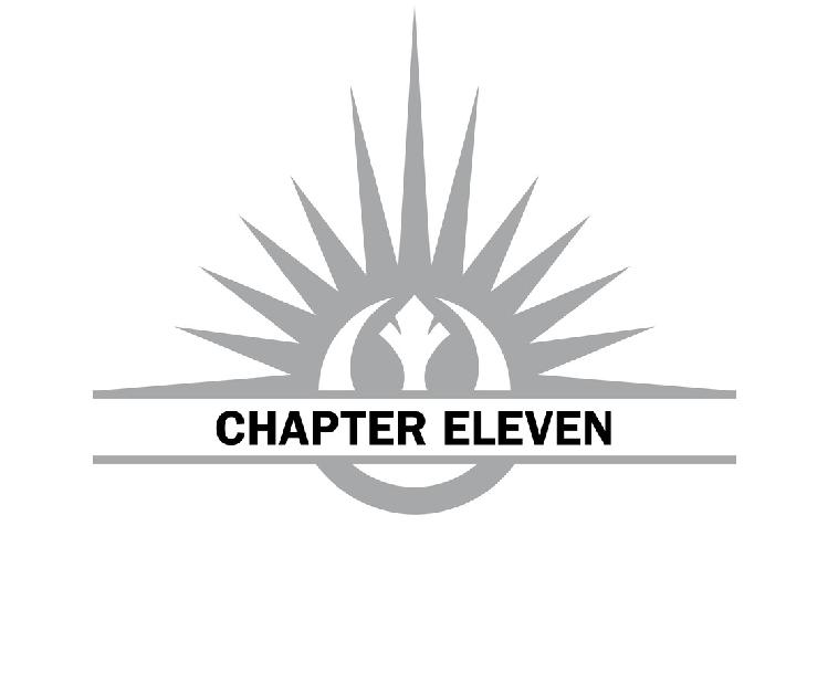 Chapter Eleven