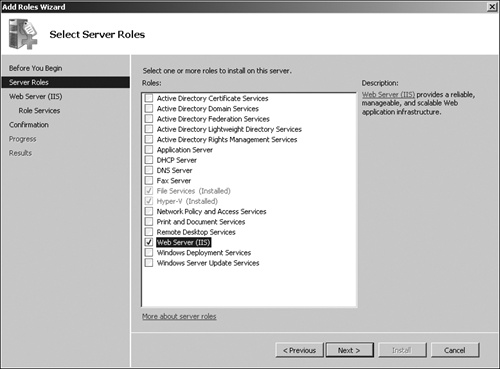 Selecting the Web Server (IIS) role