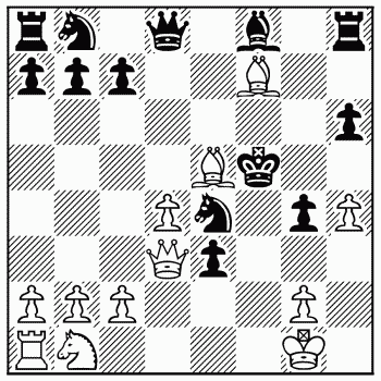 Chess problem 13