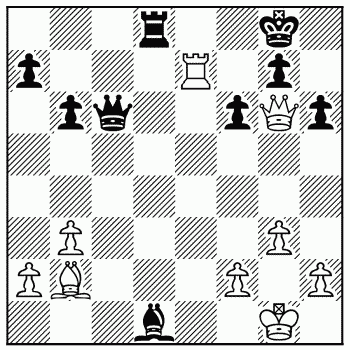 Chess problem 216