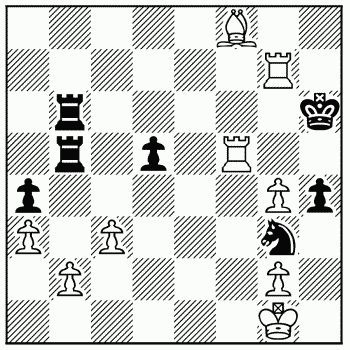 Chess problem 294