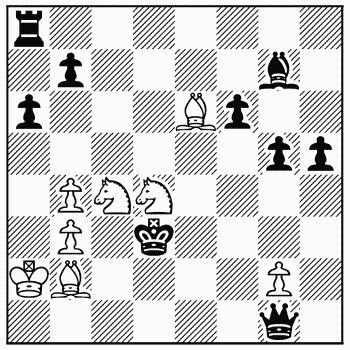 Chess problem 299