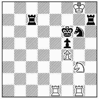 Chess problem 301