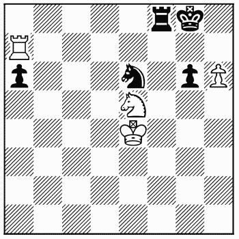 Chess problem 310