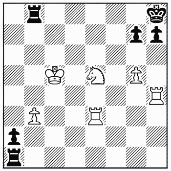 Chess problem 311