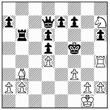 Chess problem 312