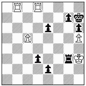 Chess problem 318