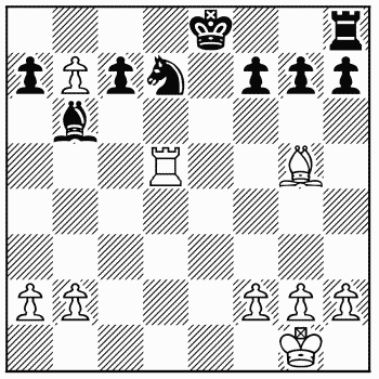 Chess problem 338