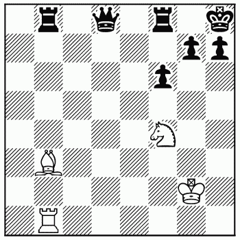 Chess problem 342