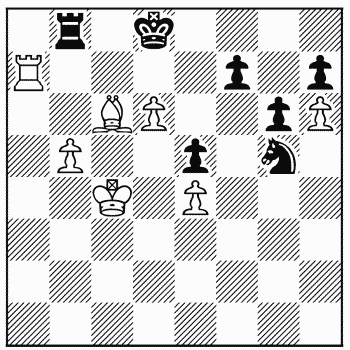 Chess problem 354