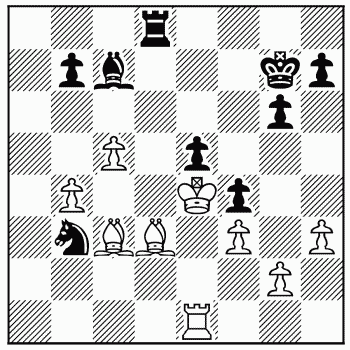 Chess problem 384