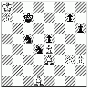 Chess problem 394