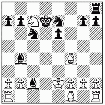 Chess problem 407