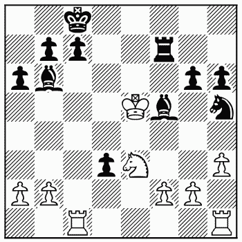 Chess problem 411