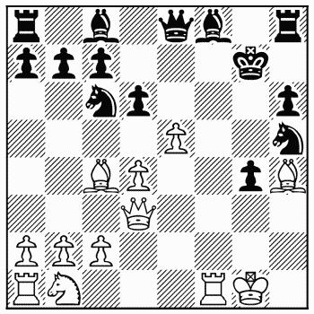 Chess problem 501