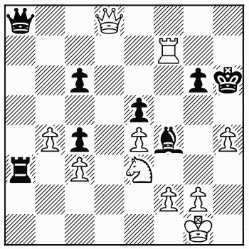 Chess problem 507