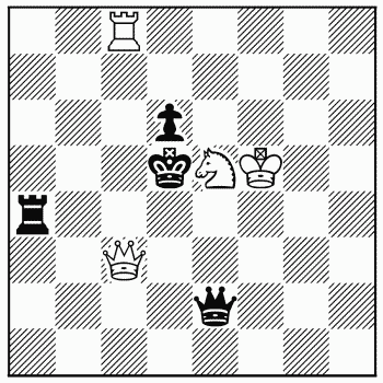 Chess problem 728