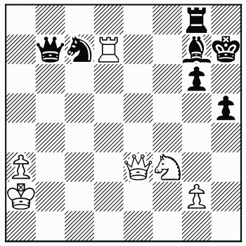 Chess problem 877