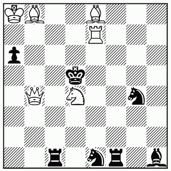 Chess problem 970