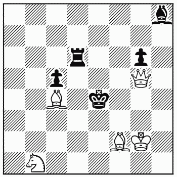 Chess problem 993