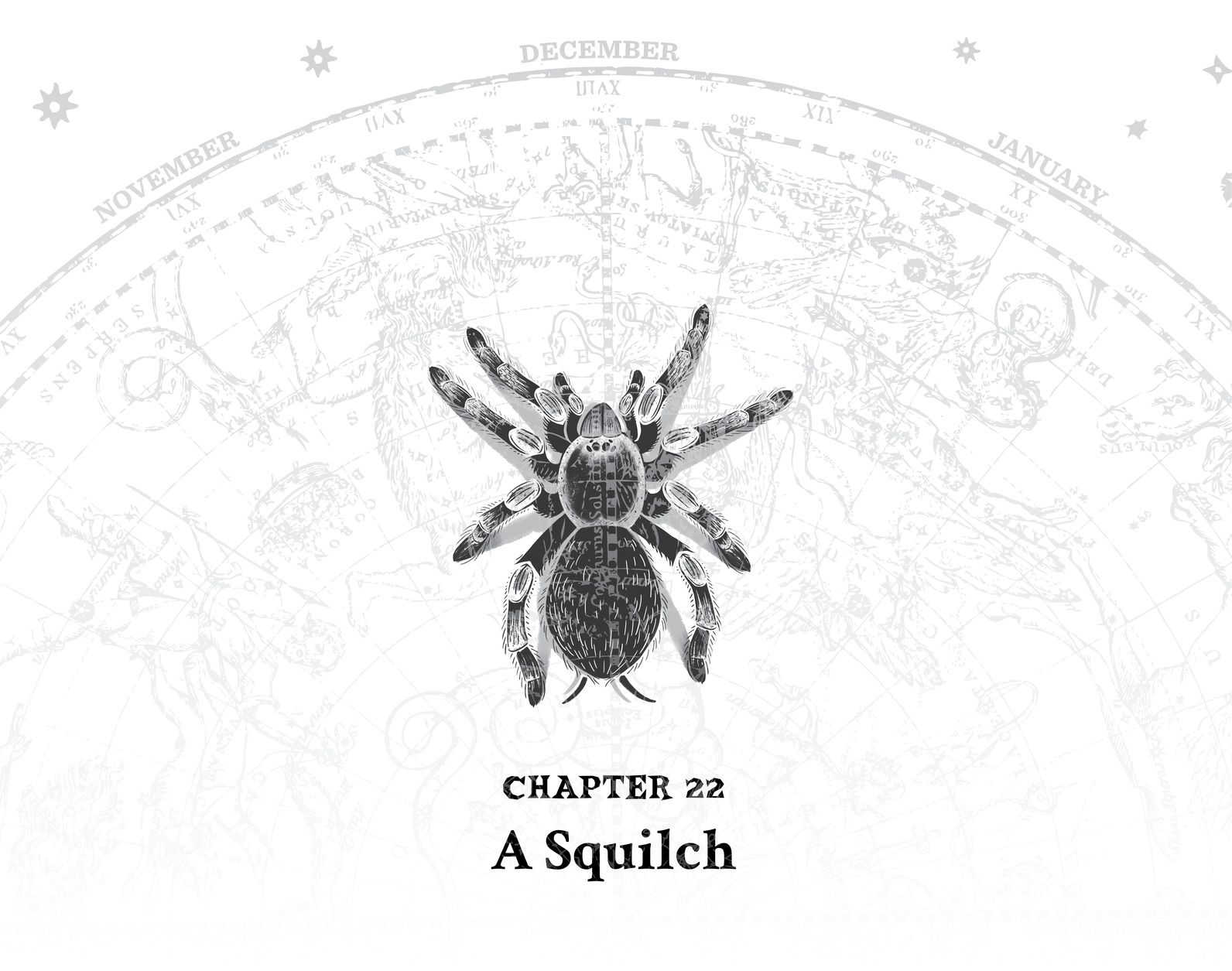 Chapter 22 A Squilch