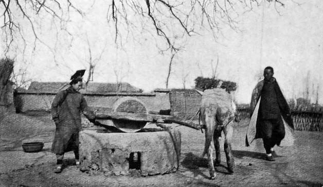 A Manchu Woman grinding Grain.