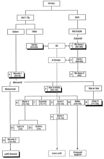 I 14 califfi Omayyadi 