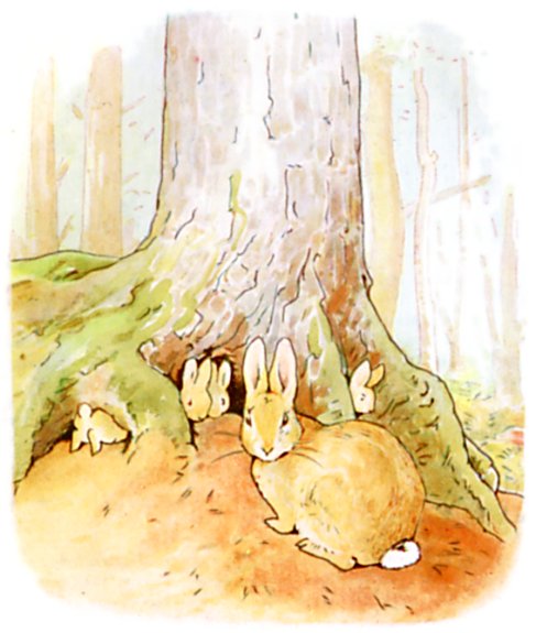 Rabbit family home