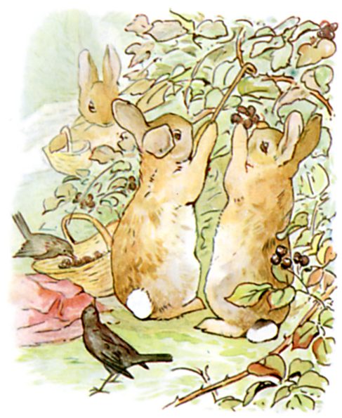 Bunnies picking berries