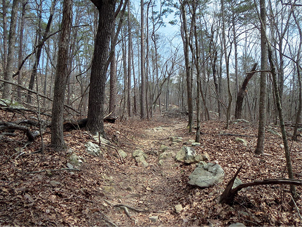 Hike42-Waterfall_Loop_3.tif