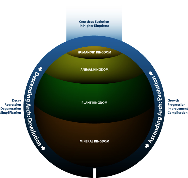 evolution-and-devolution-kingdoms.jpg