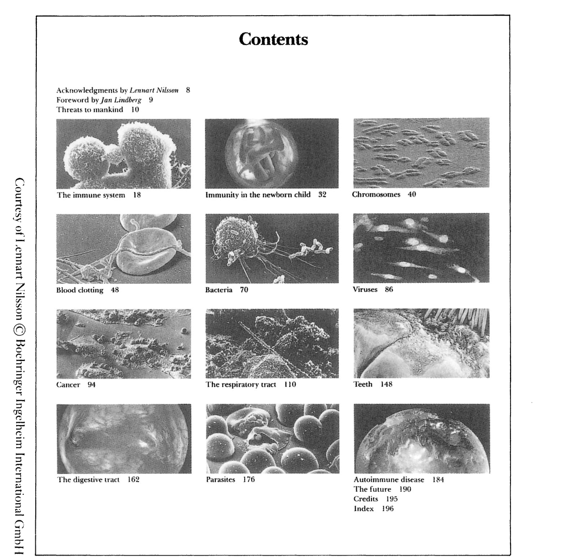 Plate 10