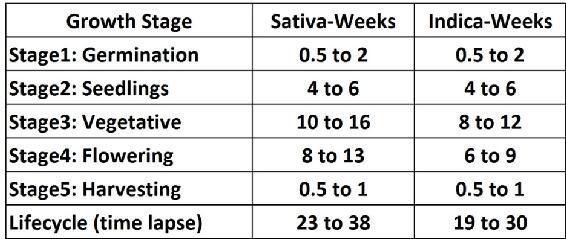 sativa-indica-growth-table