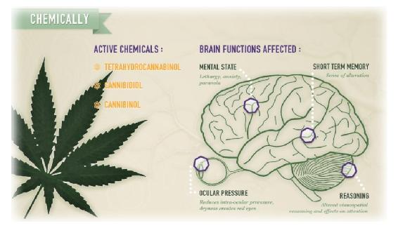 Title: Cannabis side effects - Description: marijuana-body-side-effects-2016 - http://sandspublishing.com