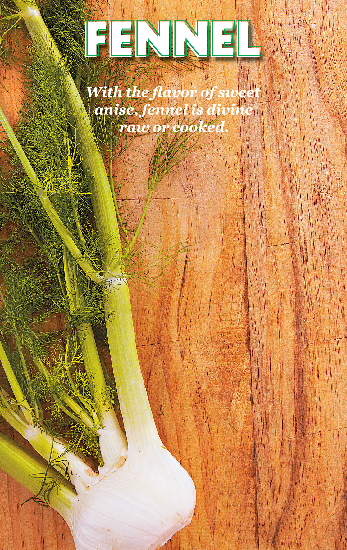 Fennel