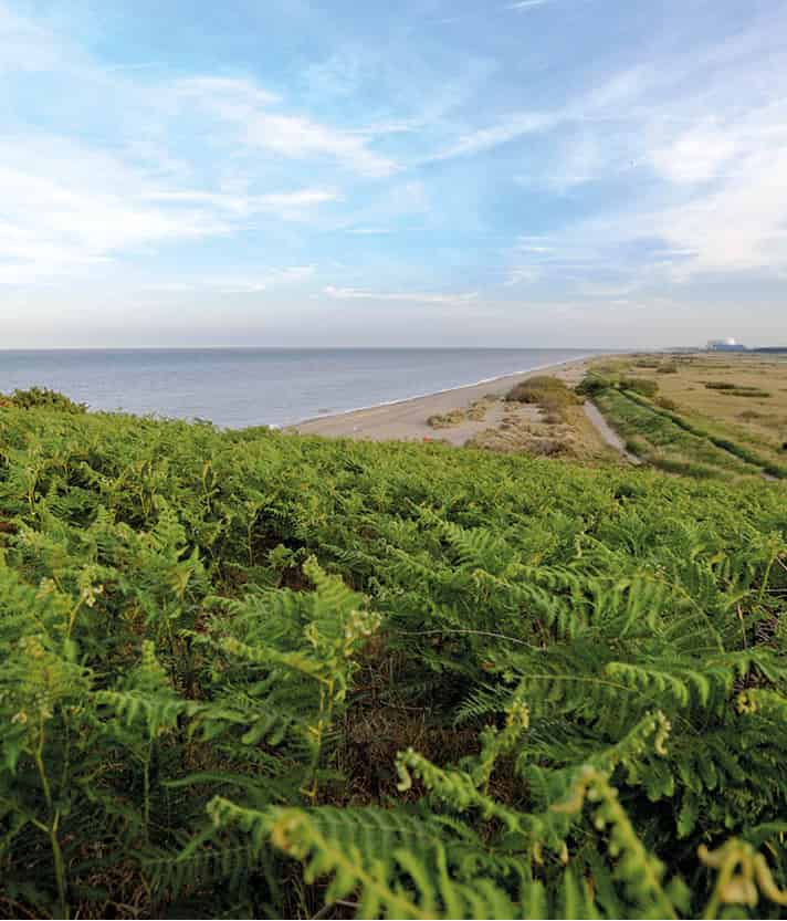 Dunwich_heath_suffolk-0367_NorfolkandSuffolk_EC.jpg