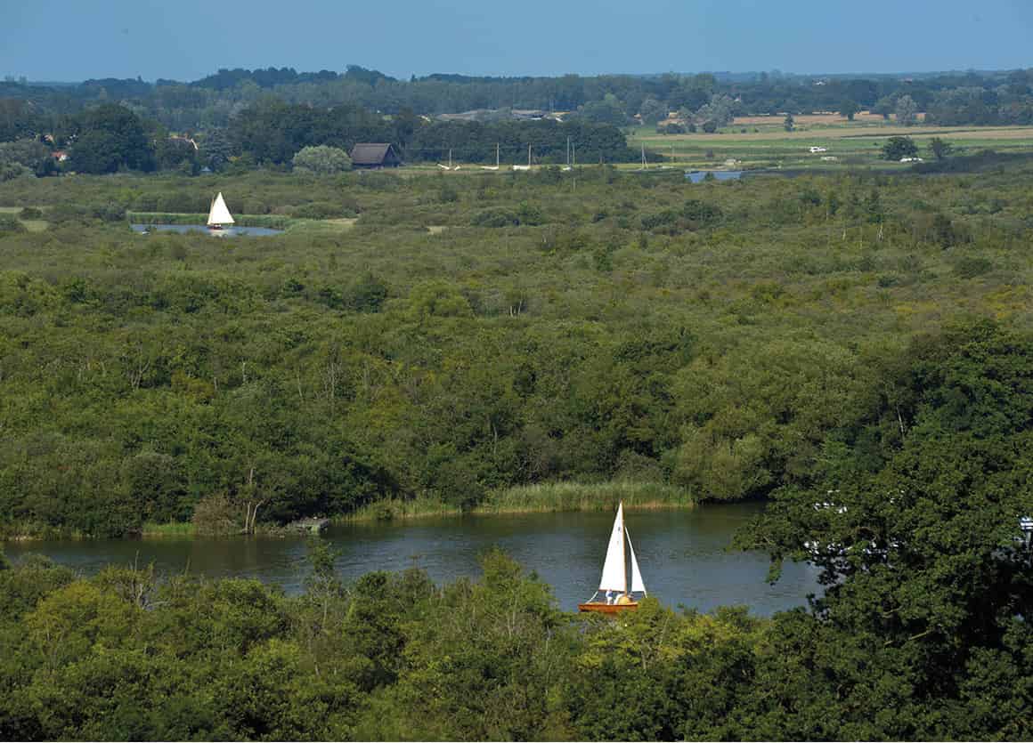 Ranworth_Broads-1617_NorfolkandSuffolk_EC.jpg