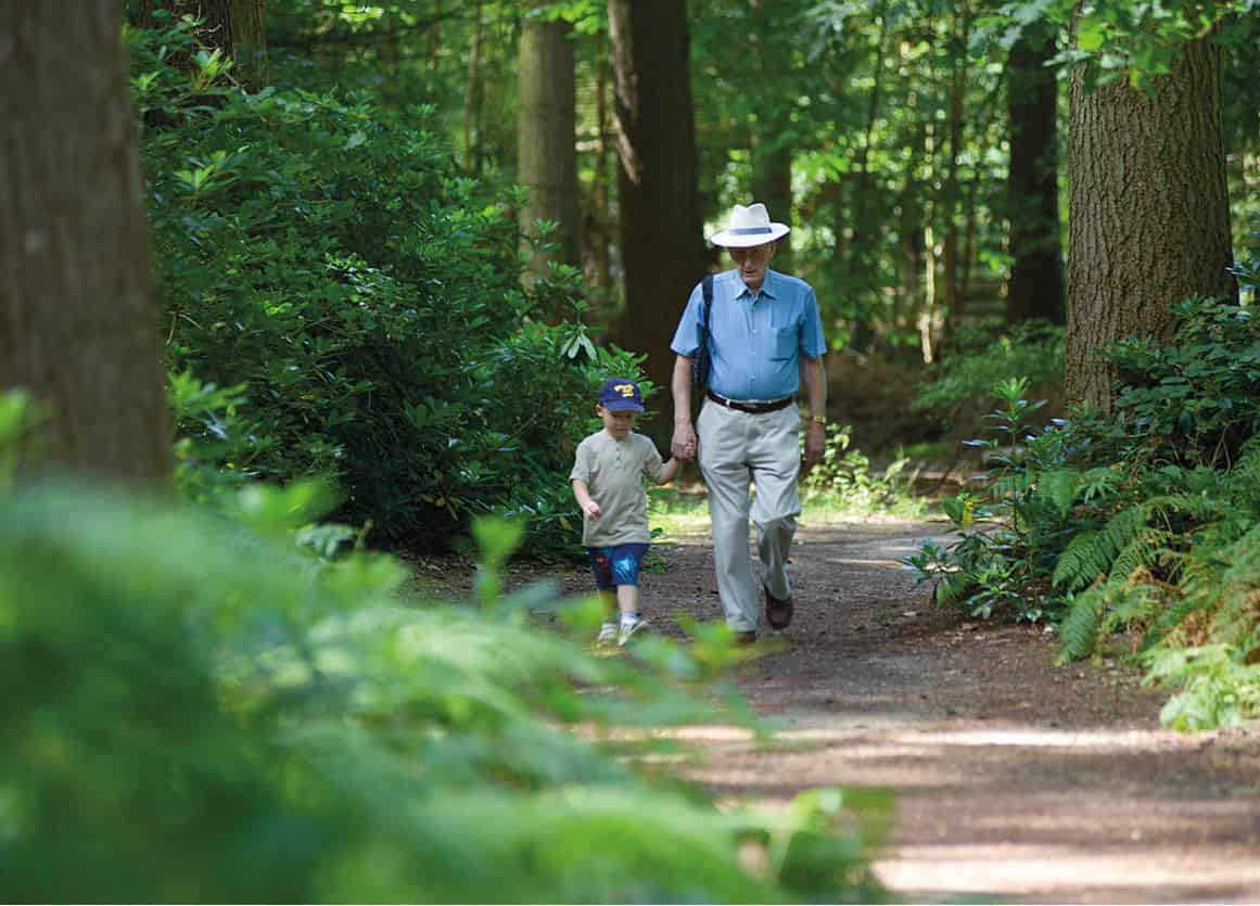 Thetford_forest_High_Lodge-0104_NorfolkandSuffolk_EC.jpg