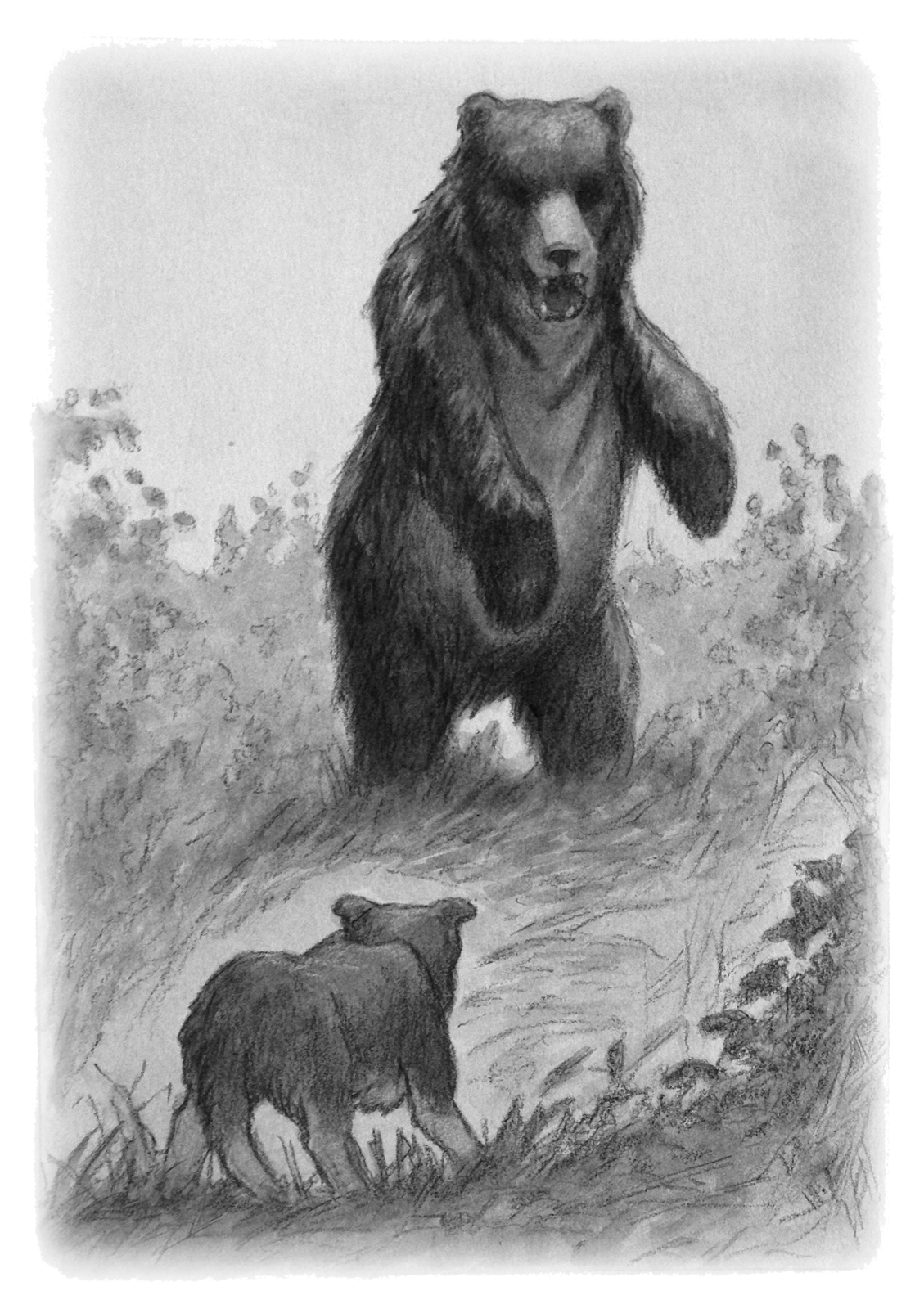 A huge grizzly bear on its hind legs bares its teeth at a dog standing before it.