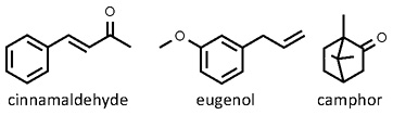 Cinnamomum_verum.jpg