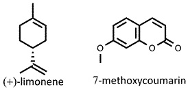 Citrus_aurantiifolia.jpg