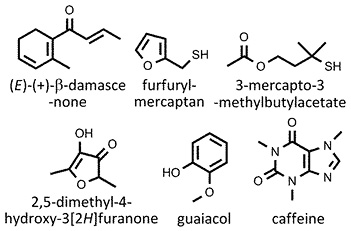 Coffea_arabica.jpg