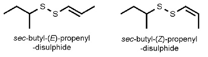 Ferula_assafoetida.jpg