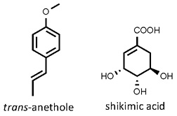 Illicium_verum.jpg