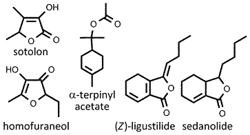 Levisticum_officinalis.jpg